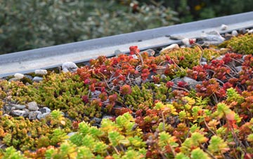 the cost of Bramwell green roof installation