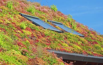 Bramwell living roof systems